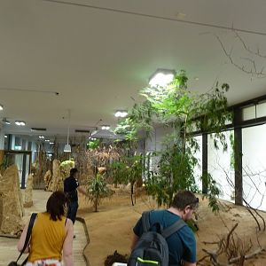 Wüstenhaus interior