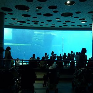 A crowdy Blue Saloon