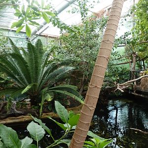 Manatihaus - second inaccessible island