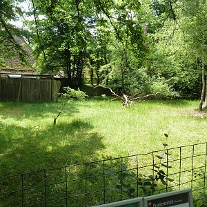 Natal red duiker enclosure