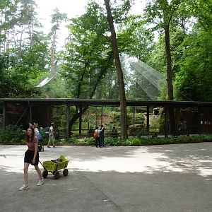 Bearded vulture aviary