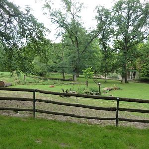 Dybowski deer enclosure