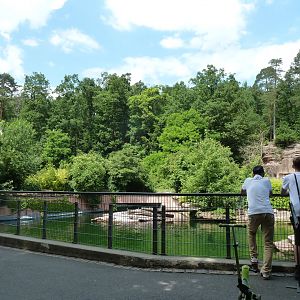Sea lion pond with underwater section