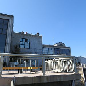 Balcony Overlook Area