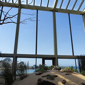 Seabird Aviary