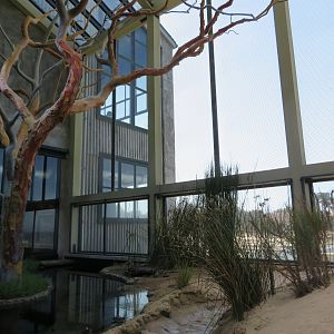 Seabird Aviary