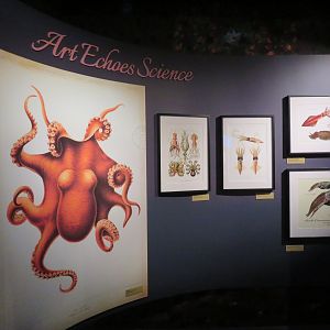 Tentacles Art
