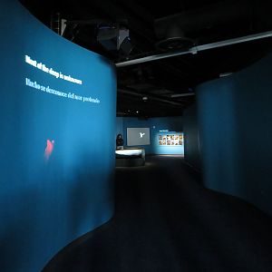 Into the Deep Entrance