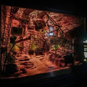 Aug. 2022 - The Desert - Grey Mouse Lemur Exhibit