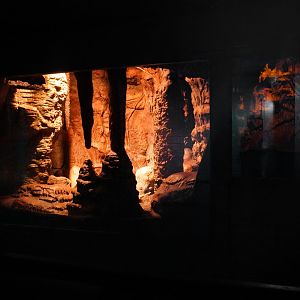 Aug. 2022 - The Desert - Vampire Bat Exhibit