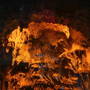 Aug. 2022 - The Desert - Vampire Bat Exhibit