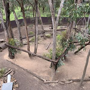 Quokka Exhibit