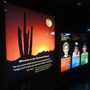 Aug. 2022 - The Desert - If Humans Were Nocturnal Signage