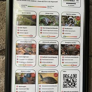 Tropical Room - free ranging species