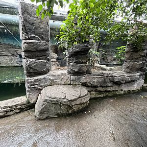 Philippine Crocodile Exhibits