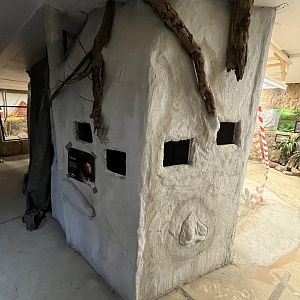 Future Naked Mole Rat Exhibit