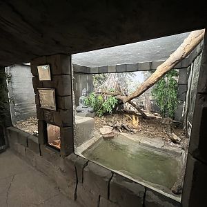 Reticulated Python Exhibit