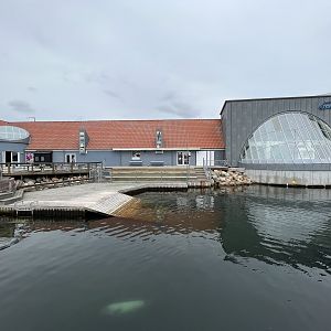 Harbour + Grey Seal Exhibit