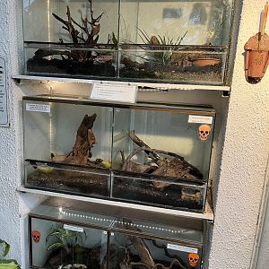 Assorted Terrariums