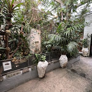 Alligator Snapping Turtle Exhibit