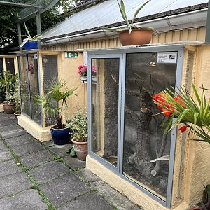 Assorted Outdoor Terrariums