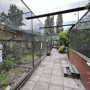 Assorted Outdoor Exhibits