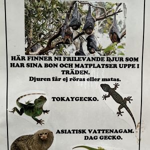 Free Ranging Species