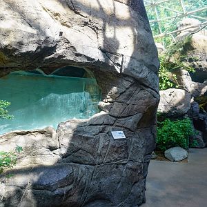 Aug. 2022 - The Desert - Desert Pupfish Tank (Empty)