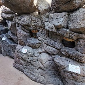 Aug. 2022 - The Desert - Three Reptile Exhibits