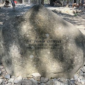 Dr. James DeWitt Memorial