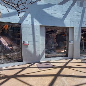 Aug. 2022 - The Desert - Cape Porcupine Exhibit