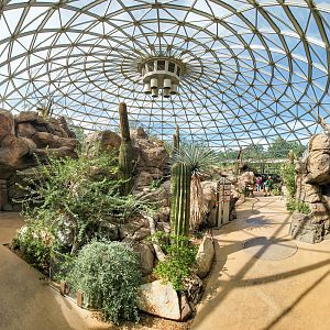 Aug. 2022 - The Desert Panorama (6 Free Flying Species)