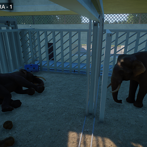 Bull Elephant Barn Indoors - In Progress