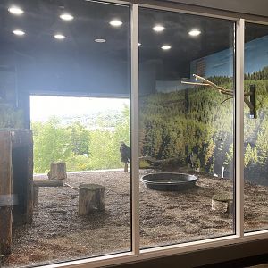 Raptor Ridge - Bald Eagle/Turkey Vulture Exhibit