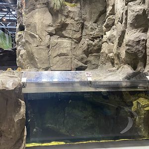 Isle Royale - Tank #2 From Above