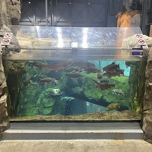 Isle Royale - Tank #1 From Above