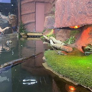 Saint Louis River - Mudbank Exhibit