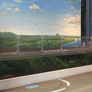 Wetlands - Stream Tank