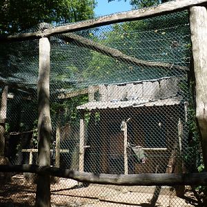 Urban pigeon enclosure