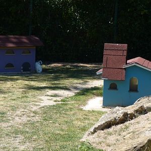 Decorative domestic rabbit houses
