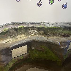 Critter Corner - Empty Tide Pool Touch Tank