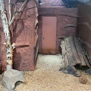 Saint Louis River - Striped Skunk Exhibit