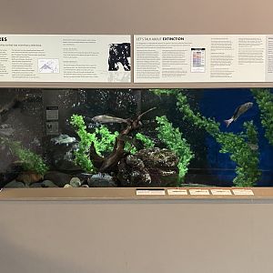 Origins - Glacial Lakes Tank