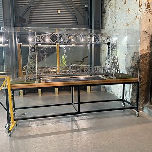 Former Spot of American Crow Exhibit