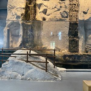 Otter Cove - North American River Otter Exhibit