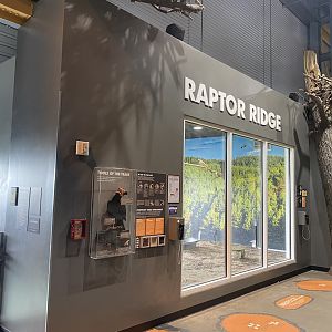 Raptor Ridge
