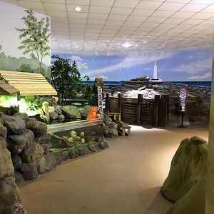 General View of First Exhibits at Tynemouth Aquarium (2019)