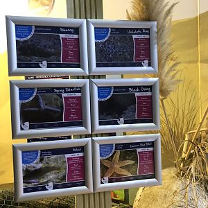 Signage at Tynemouth Aquarium (2019)