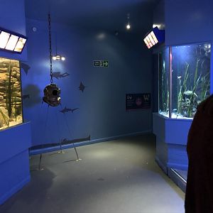 General View at Tynemouth Aquarium (2019)