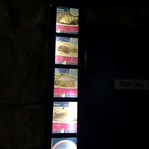 Signage at Tynemouth Aquarium (2019)